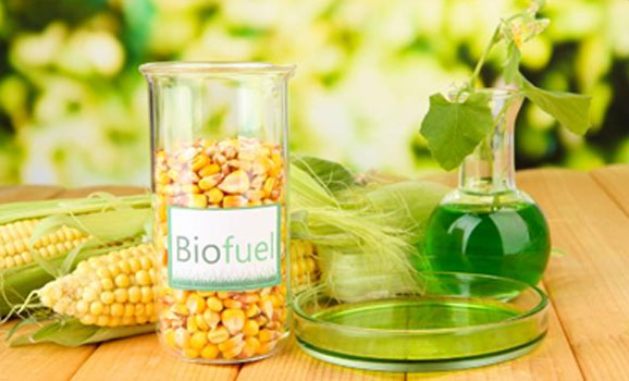 Biofuel photo