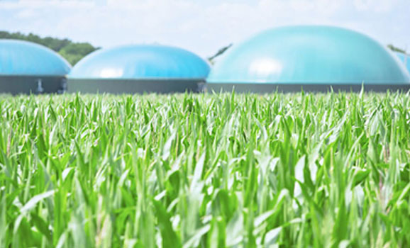 Biogas photo