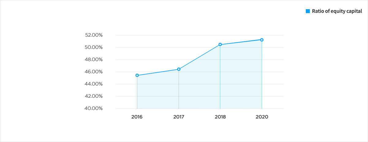 Ratio of equity capital graph chart