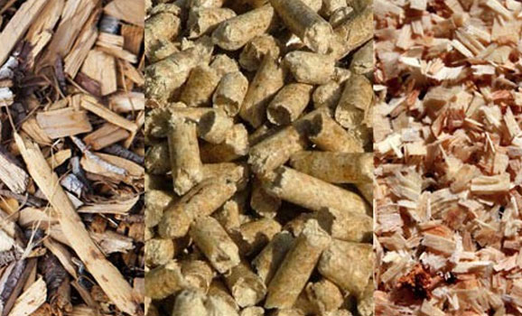 바이오매스(Biomass) 사진